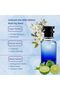 Oil Based Perfume for Women – Long-Lasting My Wei by Georgio Armané Inspired White Floral Scent with Tuberose, Orange Blossom & Vanilla – Elegant Daytime Fragrance (30 ML) - 3