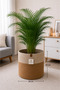Jute Wicker Multi-Purpose Decorative Organizer Flower Pot Basket Garden Organizer Basket Width 25 Length 20 cm - 2