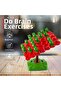 Frog Balance Parent Child Interaction Game Educational Toy Box Game - 4