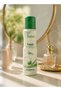 Fresh Energy Non Alcohol Perfume Body Spray 150ML | Long Lasting Refreshing Fragrance for Men & Women - 7
