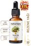 Fennel Oil (Fennel Oil) Cold Pressed Fixed Oil 30 ml Glass Bottle with Dropper