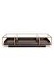 Zarol Coffee Table Tempered Glass - Gold & Brown - 6