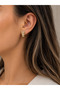 Special Series Jewelled Hoop Earrings - 2