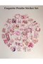 45 Pieces 4 Sheets Coquette Pink Sticker Set Bullet Journal Agenda Laptop Phone Sticker Label