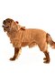 Small and Medium Breed Dog Pajamas Fleece Jumpsuit - Rubi - Dog Outfit - 3