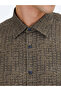 Brown Striped Regular Fit Long Woven Casual 100% Cotton Shirt - 4