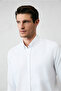 Long Sleeve Slim Fit Button Collar Cotton Easy Ironing 4 Seasons Oxford Shirt