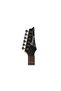 RG421-PFM Elektro Gitar - 4