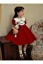 Girls Embroidered Puff Sleeve Dress - 4