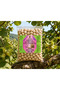 Giresun Roasted Oil Hazelnuts 500 Gr – 100% Natural Local Hazelnuts |   High Fat Content Premium Giresun Hazelnut - 4