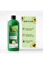 Avocado Shower Gel 1000ml – Invigorating & Exfoliating Body Wash | Deep Moisturizing, Refreshing Cleanser for Soft & Smooth Skin - 6