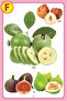 My Jumbo Fruit Pictionary - 5