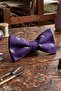 Purple Green Car Silk Bow Tie Sb222 - 2