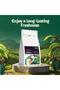 Robusta Coffee Blend – Medium Roast (Ground) 500g | Balanced & Full-Bodied, Freshly Roasted in Dubai - 4