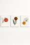 Minimalist 3-Piece Painting with Wooden Frame - Living Room Wall Decoration Huhu215