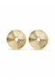 Brass Gold Color Circle Model Women's Earrings