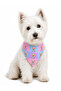 Adjustable Scarf, Chest Harness and Travel Strap Set of 3 - 4