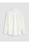 Regular Fit 100% Linen Men's Shirt - 6