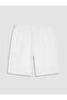 Özmarka New Season Men's Shorts with Stripe Detail - 4