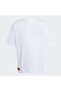 Au Ef Gr Ii Ss Men's Sports T-Shirt Kv5774 - 4