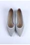 Women's Stone Detailed Transparent Mesh Pointed Toe Ballerina Shoes Silver - 4