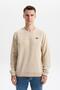Ar-Ma Men's Crew Neck Sweatshirt Basic Without Print Without Pockets Regular Fit Carbon Brushed Thessaloniki K30124