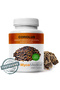 Coriolus 90 Capsule