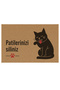 Door Mat Carpet Mat Wipe Your Cat Paws 40 X 60 cm - 2