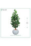 Artificial Lemon Tree, Fibre Pot { 170 cm Height } - 6