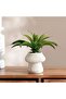 Aloe Artificial In Ceramic Pot 30.5x30.5x22.5cm - Green