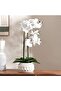 Real Touch Orchid In Ceramic Pot 55.5x20x63.5cm - White
