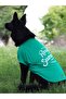 Tshirt | Surfer Dog - 7