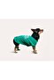 Tshirt | Surfer Dog - 8