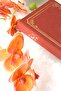 دفتر ملاحظات من الكتان باللون العنابي من Fairytale Tale / منقط / 10 * 20 سم / 90 جرام عاجي / 224 صفحة - 4