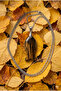 Fish Shaped Tiger's Eye Natural Stone Pendant with Steel Chain