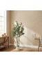 122cm Artificial Potted Olive Tree, Double Trunk Realistic Faux Olive Plant with Natural Trunk & Plump Fruits, Indoor Decor for Living Room Office Home Decor - 3