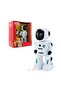 Intelligent Programming Robot