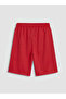Lcw Kids Red Turkey Printed Boy's Shorts - 4
