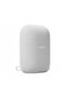 Nest Audio Alb - 2