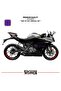 CFMOTO 250SR Grenage ملصق مجموعة اليمين اليسار نموذج ملصق ملصق عالي الجودة