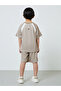 Boys Beige Graphic T-Shirt And Shorts Set - 6