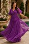 Women's Short Sleeve Tulle Sleeve Double Breasted Collar Lycra Stretchy Glitter Lined Stylish Comfortable Long Plum Evening Dress - 6