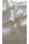 Women's Gold Color Stone and Glitter Flower Earrings - 3