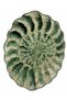 Sdt Fish Theme Patterned Modern Woven Base Decorative Carpet Sdtamor1264 - 4