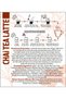 Chai Tea Latte 1000 g - 6