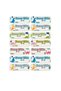 14 Pieces of Shiny Artistic Dinosaur Design School Labels - A4 Stickers with Names Written and Subjects, Cut-Out Design