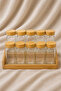 Acar Malibu Collection 10-Piece Glass Spice Jar Set with Stand and Bamboo Lids 110 ml
