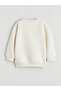 Crew Neck Boys' Sweatshirt - 3