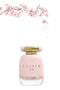 4 قطع من عطر Praize Her سعة 100 مل - 2