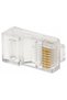 CONECTOR MODULAR RJ45/C53*P1000 - 2